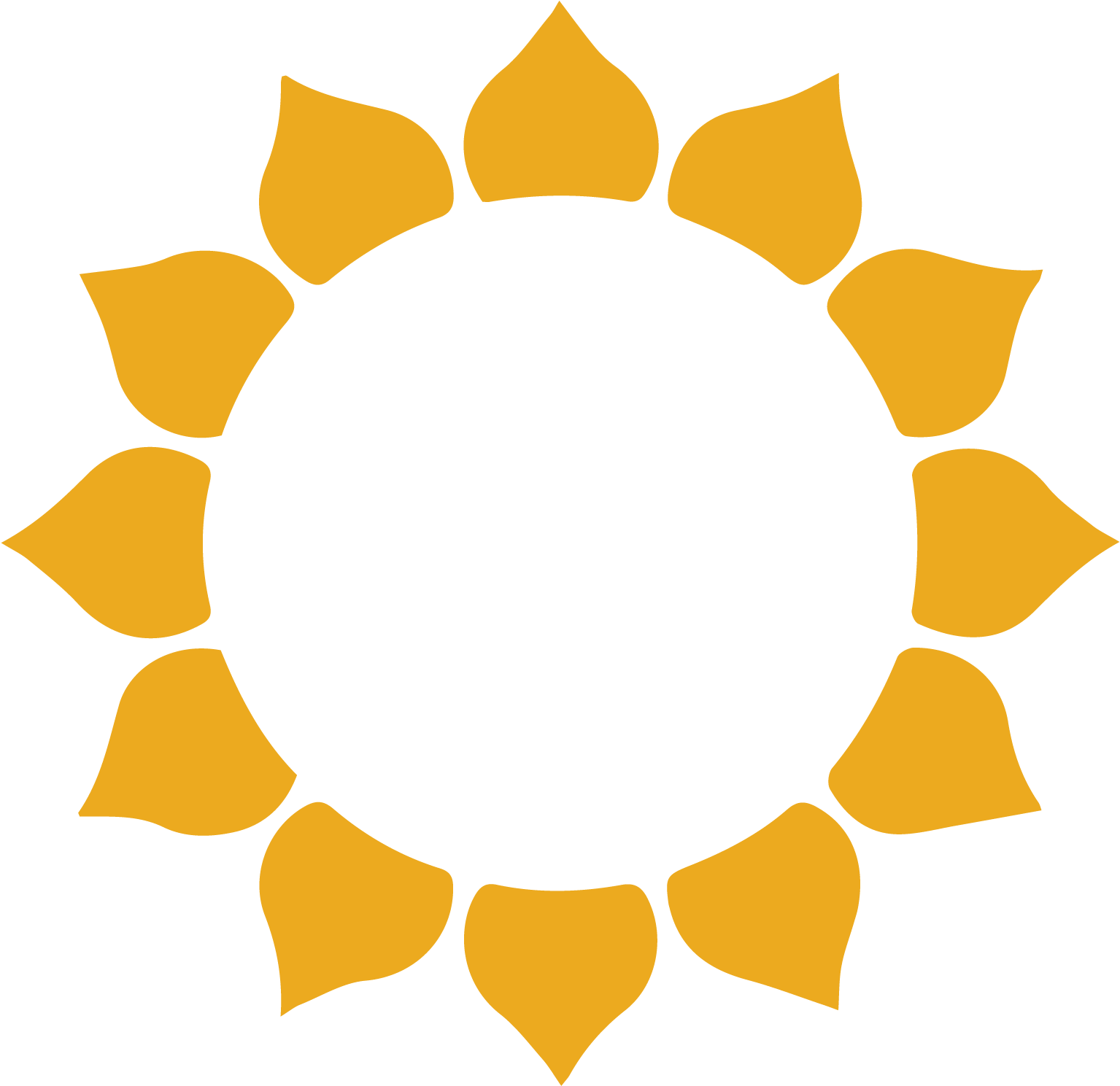 Related Wallpapers - Circle (1536x1537), Png Download