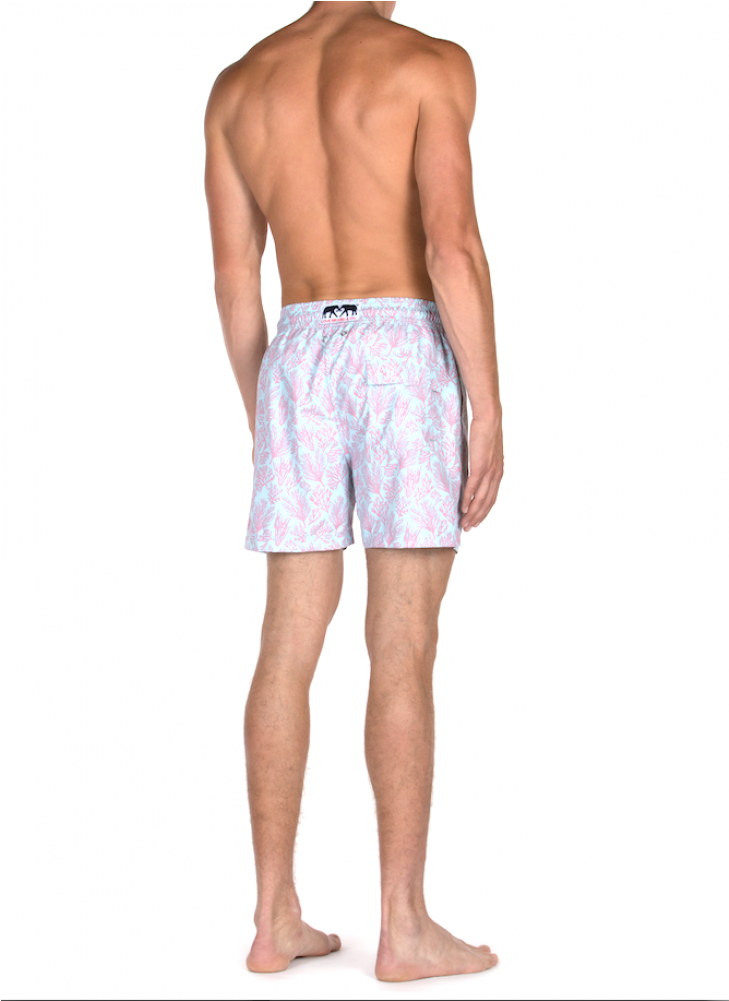 In A Sky Blue And Soft Pink, This Print Draws Its Design - Trunks (1000x1000), Png Download