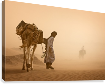 Sand Storm Canvas Print - Canvas On Demand Sand Storm Photographic Print (429x344), Png Download