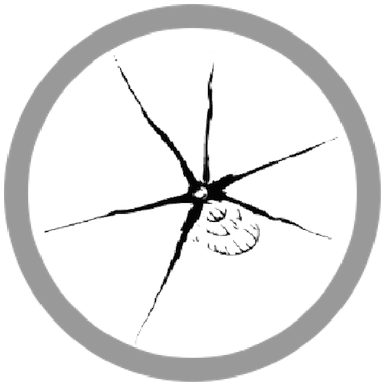 Estrella - Sketch (400x401), Png Download