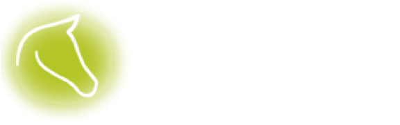 Liderazgo Y Equilibrio - Leadership (600x200), Png Download