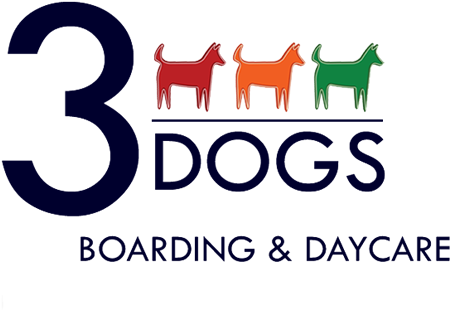 3 Dogs Boarding And Day Care Logo - Child Care (542x373), Png Download