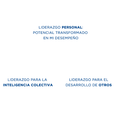 Grafico Fortalecimiento Liderazgo - Leadership (491x472), Png Download