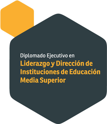 Diplomado Ejecutivo En Liderazgo Y Dirección De Instituciones - Instituto Europeo De Salud Y Bienestar Social (800x533), Png Download