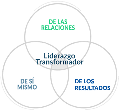 Liderazgo - Circle (400x406), Png Download
