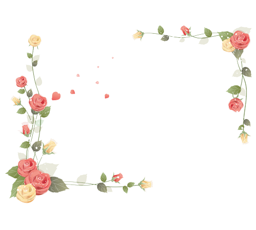 05 Apr 2011 - Garden Roses (500x450), Png Download