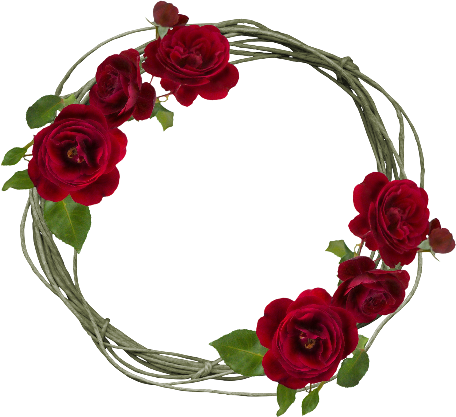 Moldura- - Garden Roses (1600x1495), Png Download