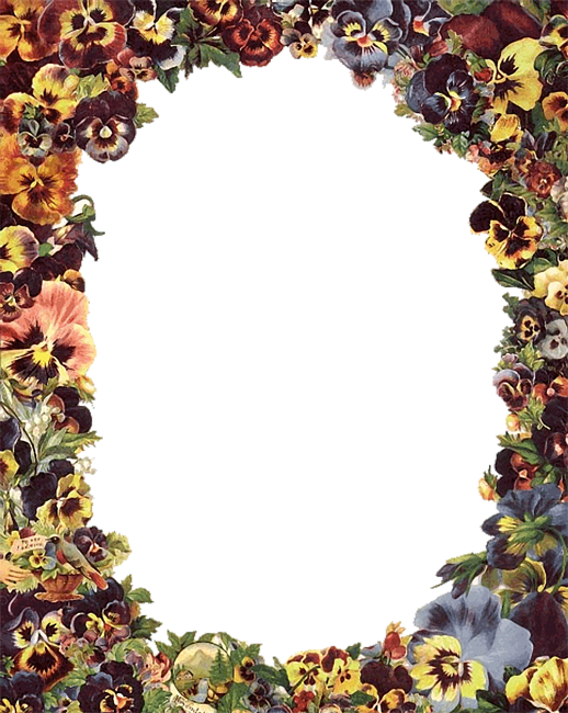23 Jul 2010 - Picture Frame (518x650), Png Download