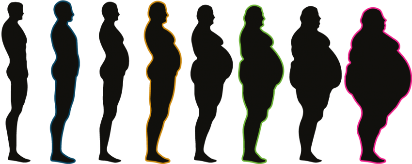 Tackling Obesity - 1 Million Chicken Nuggets (850x338), Png Download