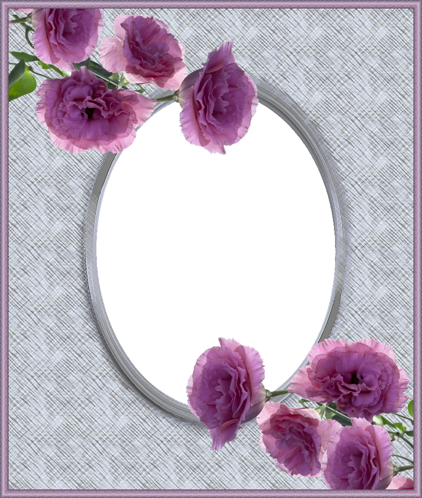 Garden Roses (834x984), Png Download