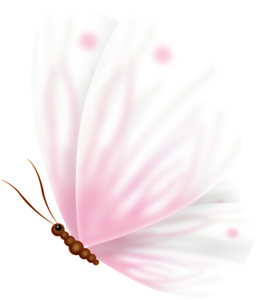 Pink Cute Sweet Butterfly Pass Transparent - Portable Network Graphics (1024x1024), Png Download