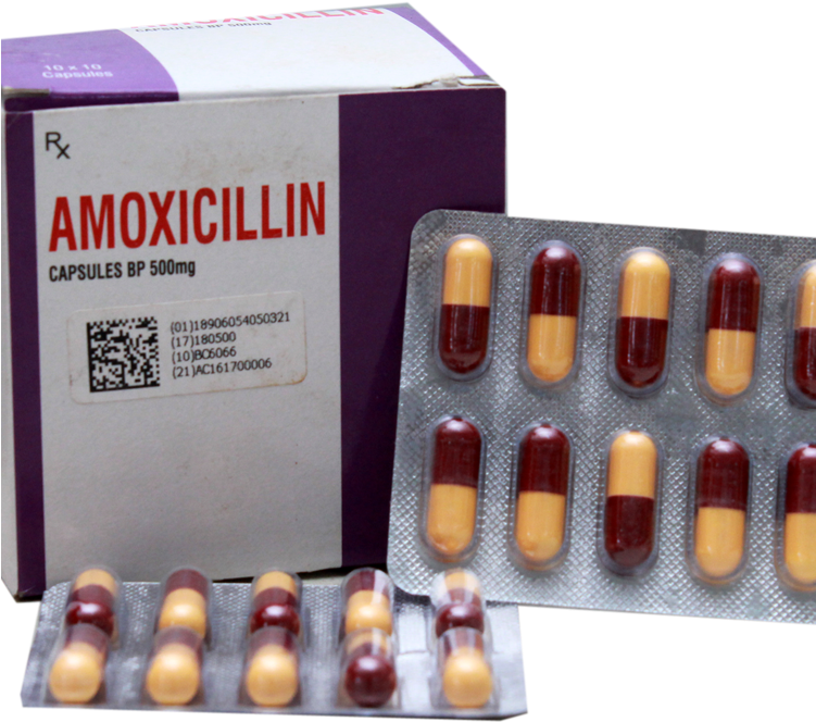 02 Details - Amoxicillin Capsules Bp 500mg (750x688), Png Download