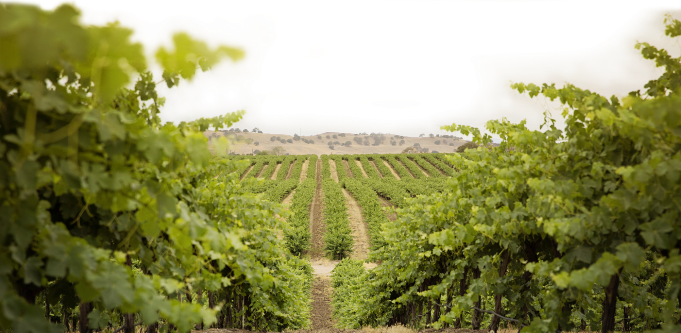 Broken Earth Winery (1400x686), Png Download