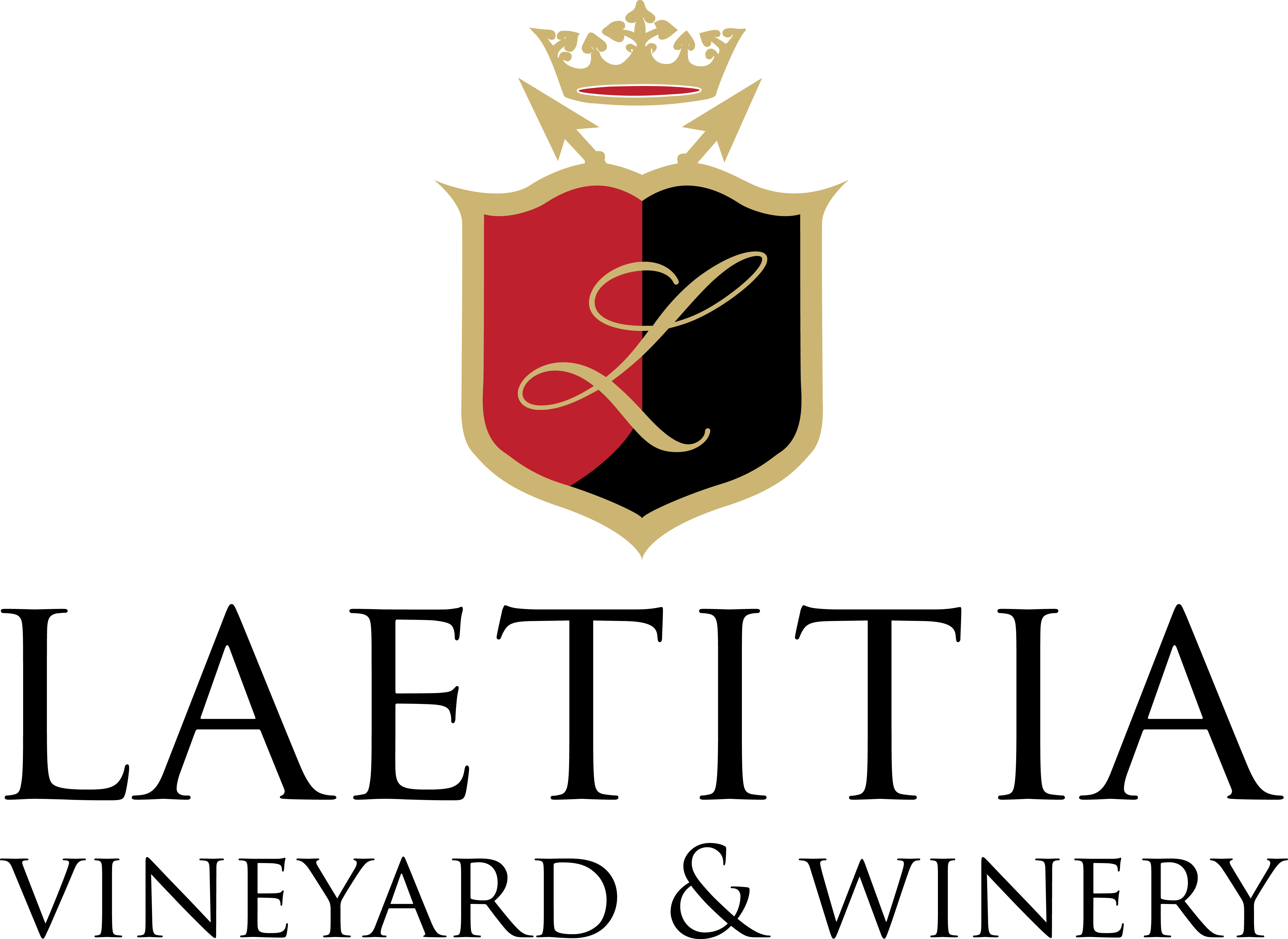 Png - Malaysia Vision Valley Logo (5000x3647), Png Download