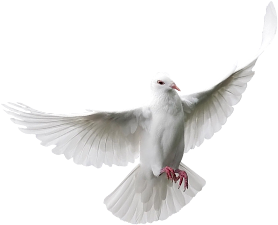 You Might Also Like - Color (651x470), Png Download