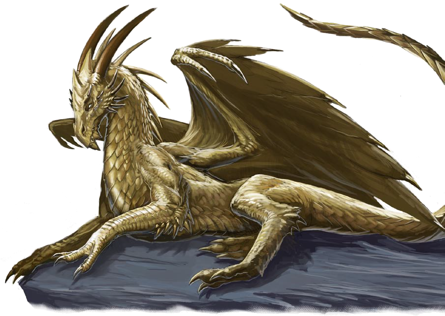Gold Dragon, Fire Dragon, Dragon Heart, Black Dragon, - Young Gold Dragon (906x650), Png Download