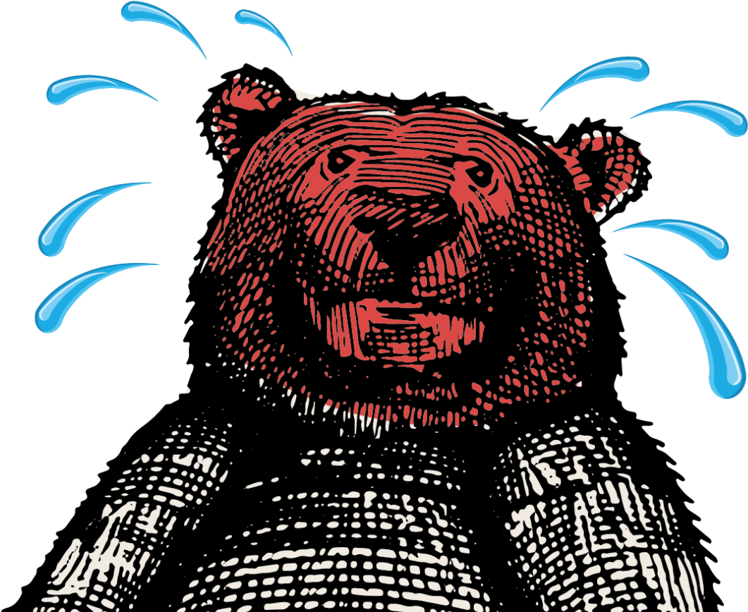 Melting Bear Head - Kodiak Bear (1920x1005), Png Download