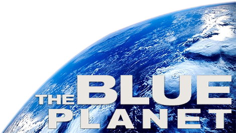 The Blue Planet Tv Show Image With Logo And Character - Blue Planet Tv Show Logo (500x281), Png Download