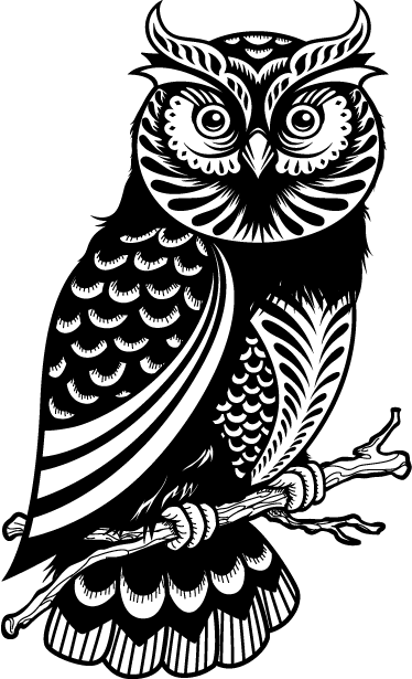 Negro, Blanco, And Buho Image - Owl Drawing (374x615), Png Download