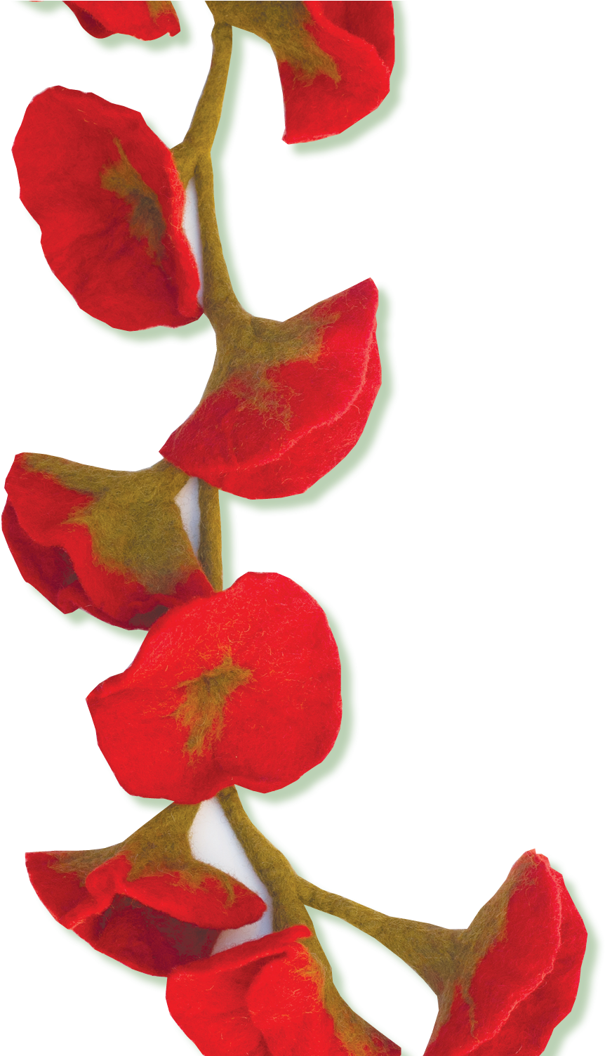 'dia De Las Madres' A Cultural, Familial Bridge - Culture (1001x1502), Png Download