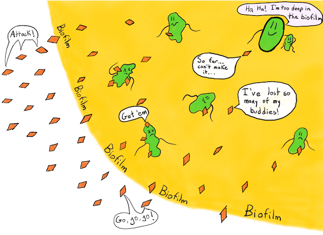 Biofilm Antibiotic Resistance (640x472), Png Download