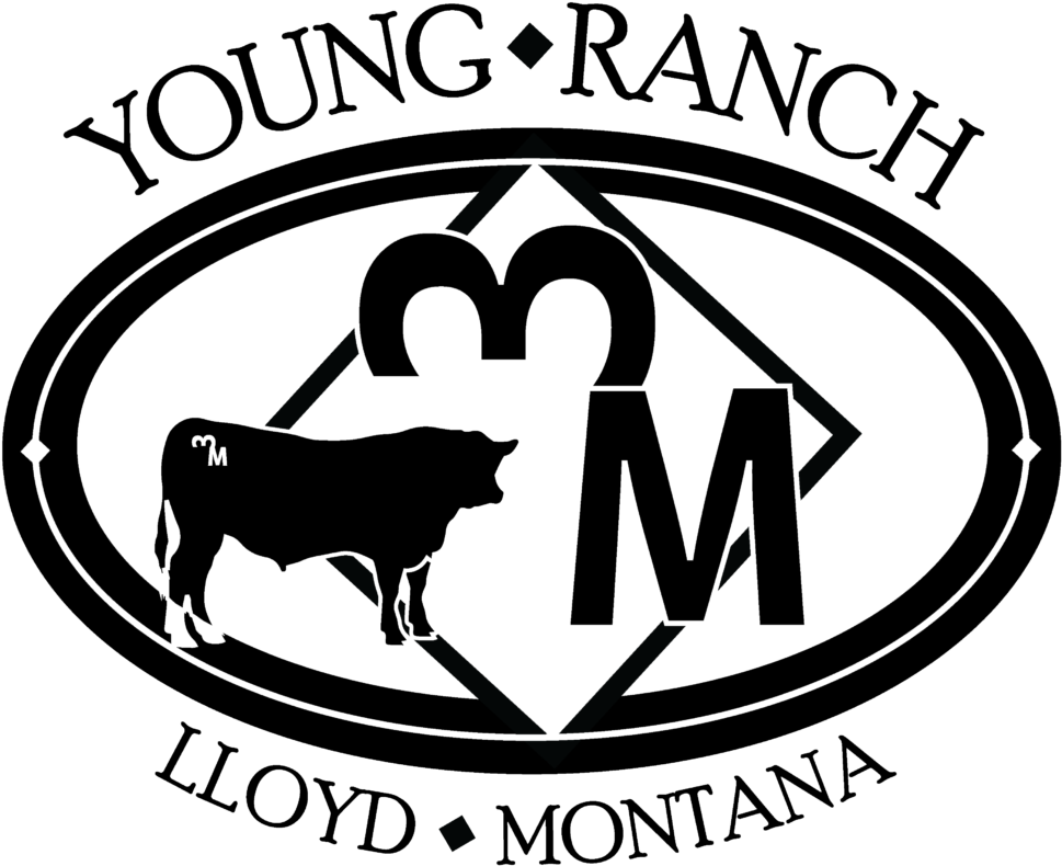 Wome In Ministry: 25 Ways To Impact (1024x818), Png Download