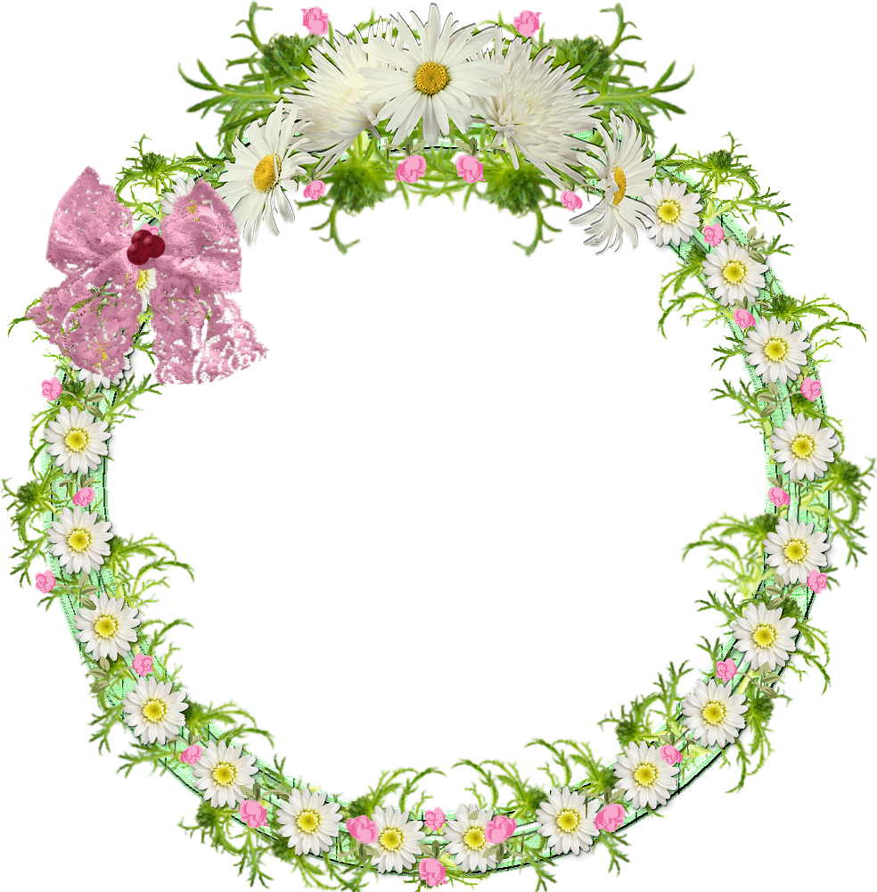 Emilieta Psp Marcos Rosas Rojas En Png Marcos Florales (984x1000), Png Download