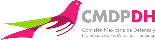 Caso Nadia Alejandra Muciño Márquez - Cmdpdh (800x202), Png Download