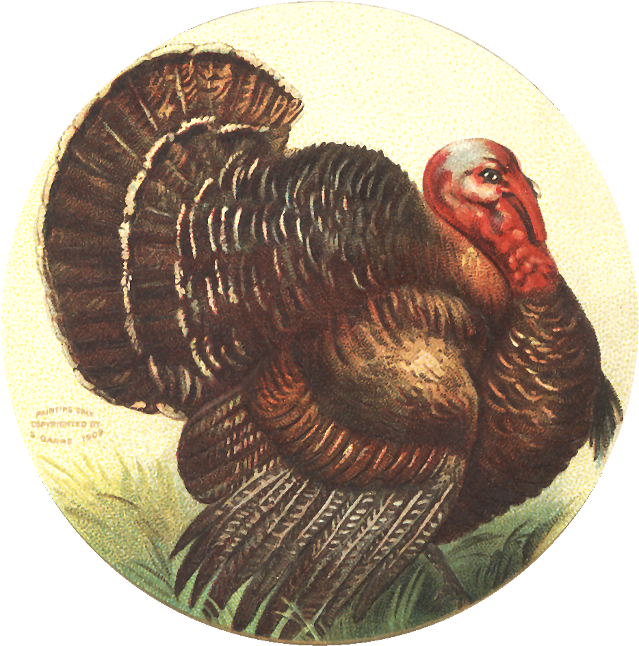 Free Image Friday - Vintage Thanksgiving (976x992), Png Download