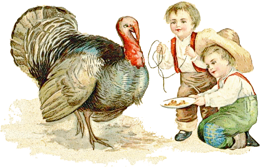 Thanksgiving Turkey - Among The Farmyard People; Paperback; Author - Clara (543x359), Png Download