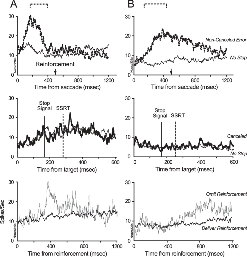 Neurons Exhibiting Phasic And Tonic (b) Error-related - Diagram (850x882), Png Download