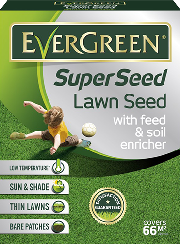 Evergreen Superseed Lawn Seed (500x500), Png Download