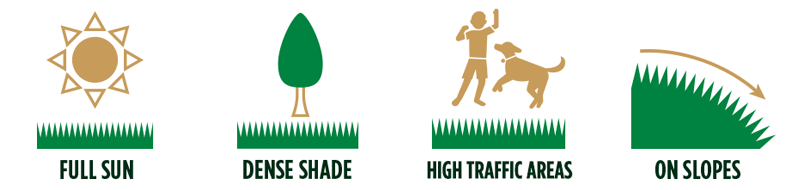 Areas Of Use (792x190), Png Download