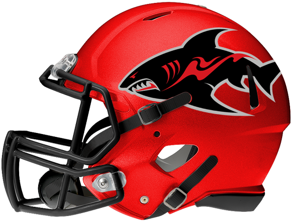 With The Nal, Afl, Ifl, And Cif The Competition For - South Carolina Gamecocks Football Helmets (660x595), Png Download