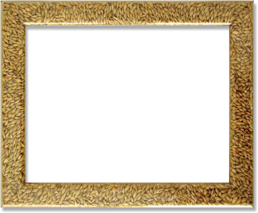 Upload Your Picture - Blank Picture Frame (536x452), Png Download