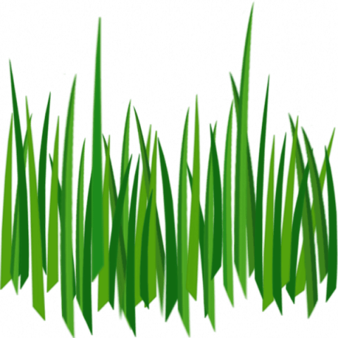 Free Png Grass Png Images Transparent - Cartoon Grass Transparent Background (480x480), Png Download