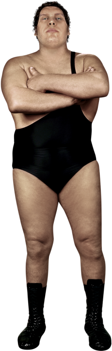 Andre The Giant - Andre The Giant Full Body (320x728), Png Download