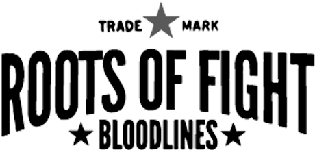 Post Navigation - Roots Of Fight (480x300), Png Download