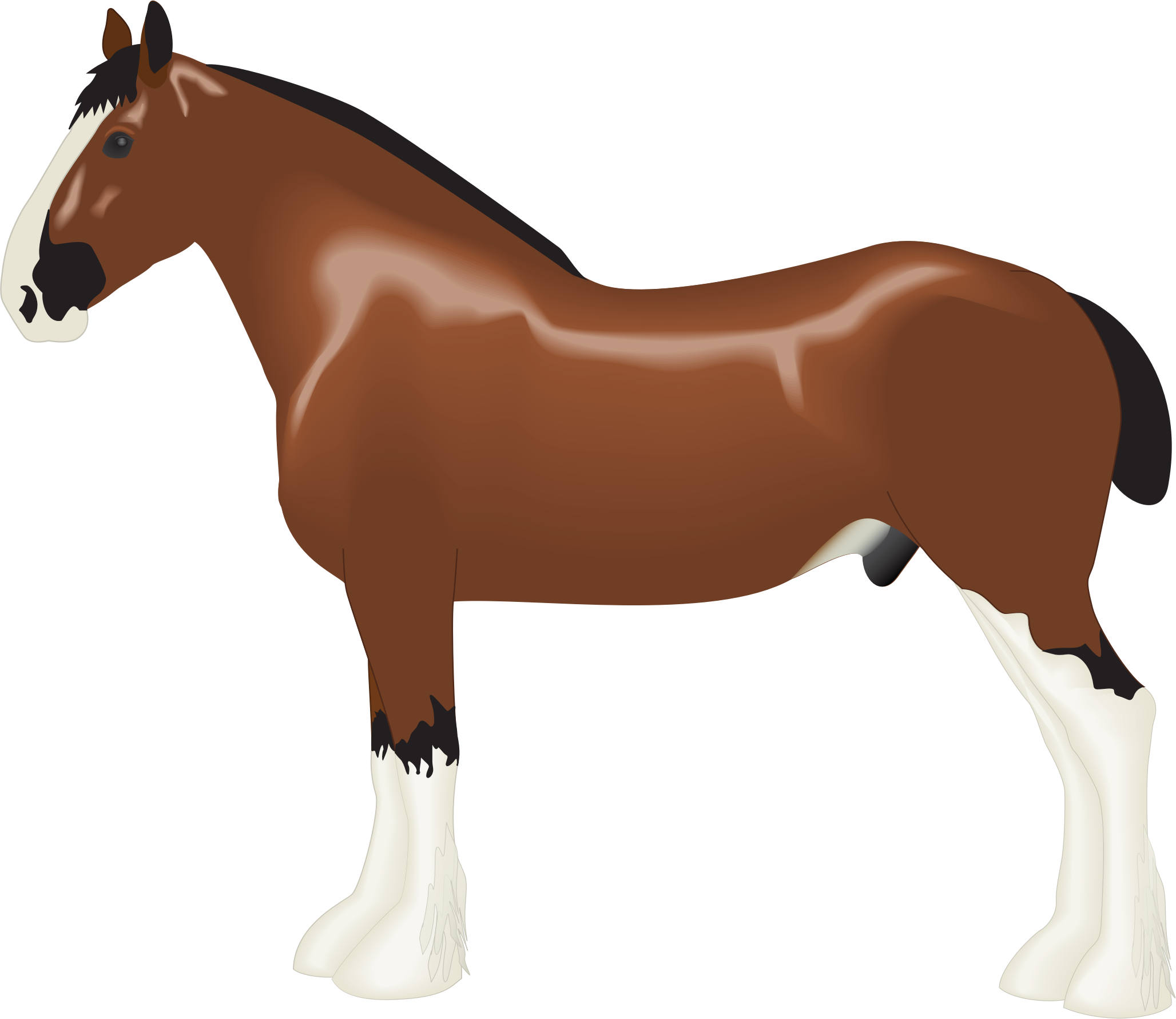 Drawn Horse Clydesdale Horse - Clydesdale Clipart (2056x1781), Png Download