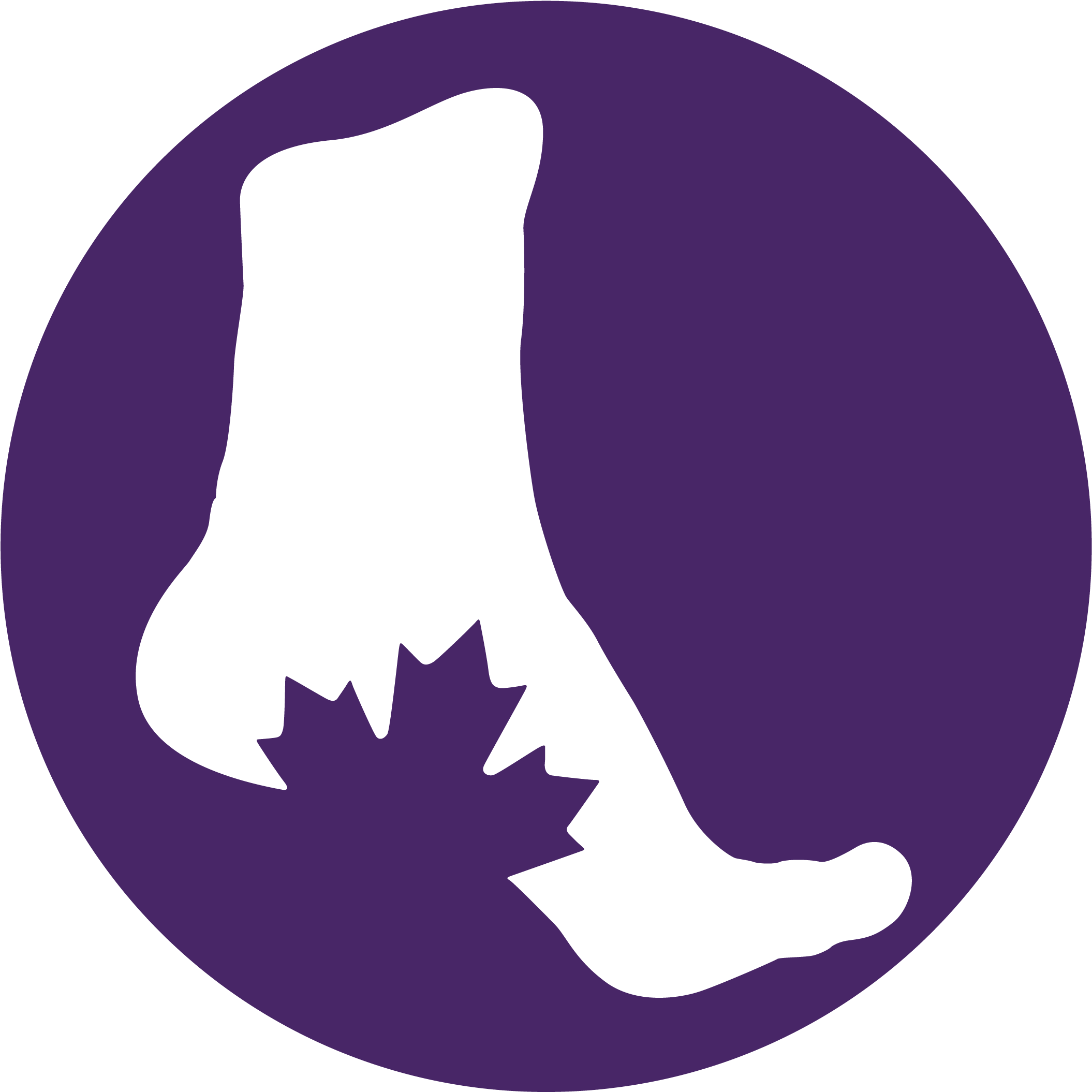 Download Foot Care Nurse Course Home And Holiday Flags 3x5 Canada