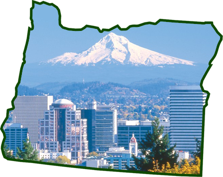 About Tresha Resource Partners - Painting Of Washington Dc (448x355), Png Download