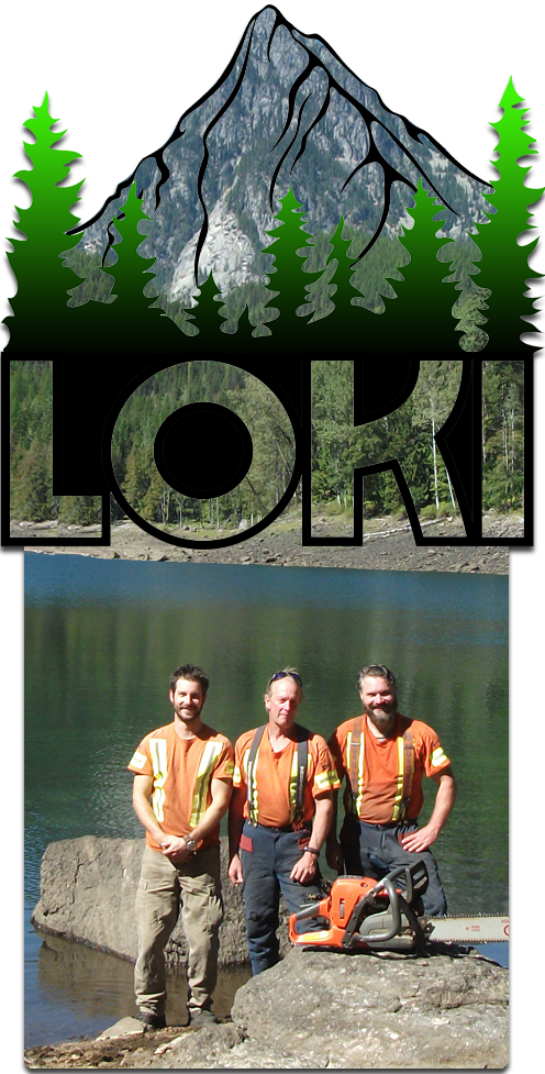 Loki Tree Service Arborist & Contracting Services In - Poster (496x977), Png Download