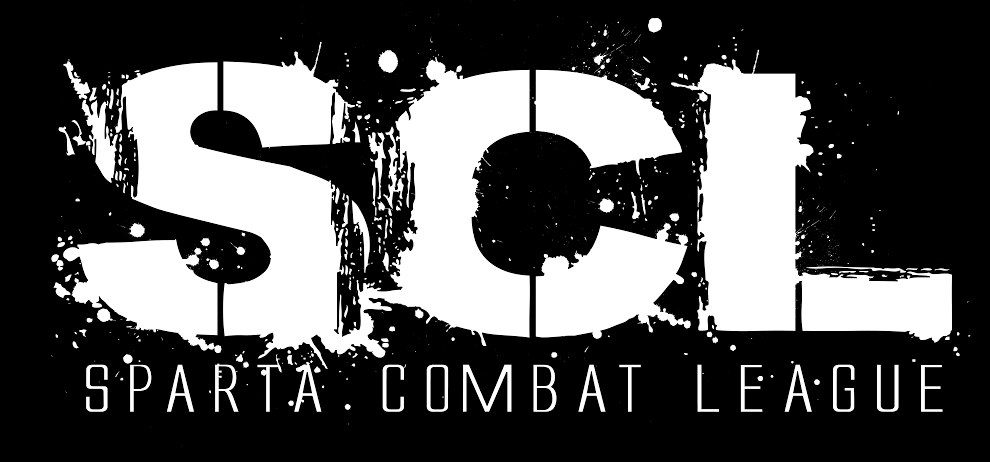 22 Apr - Mixed Martial Arts (990x462), Png Download