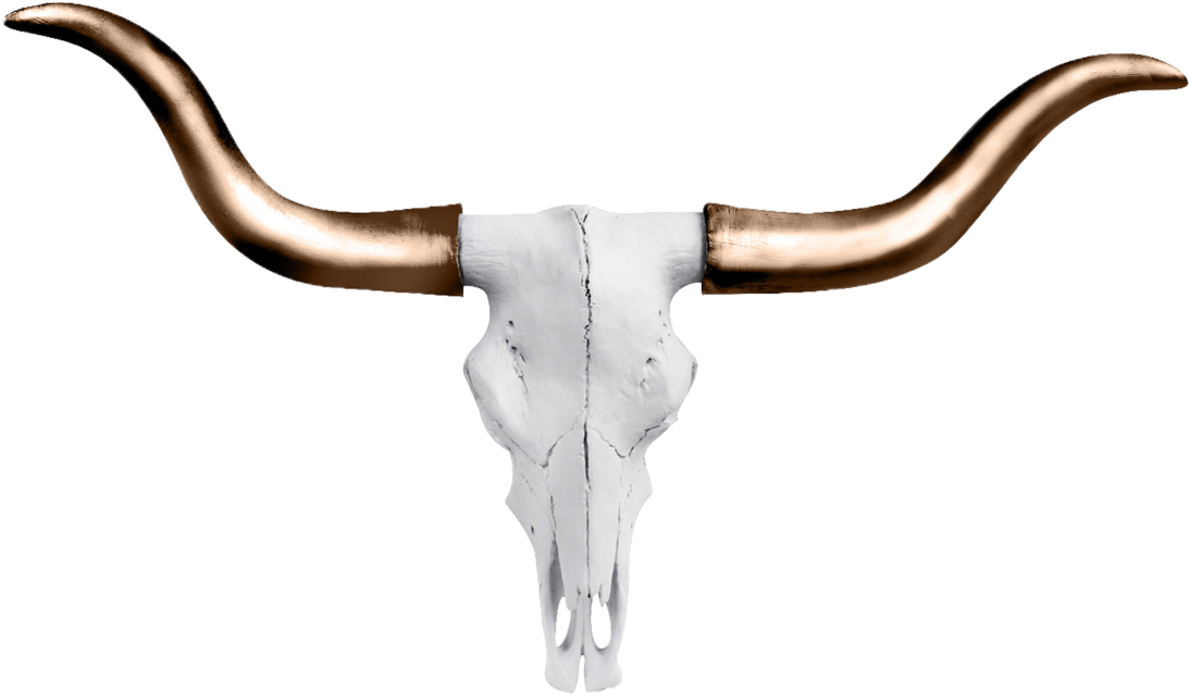 Austin Texas Longhorn Wall Décor Wall Charmers Color: (1104x1104), Png Download