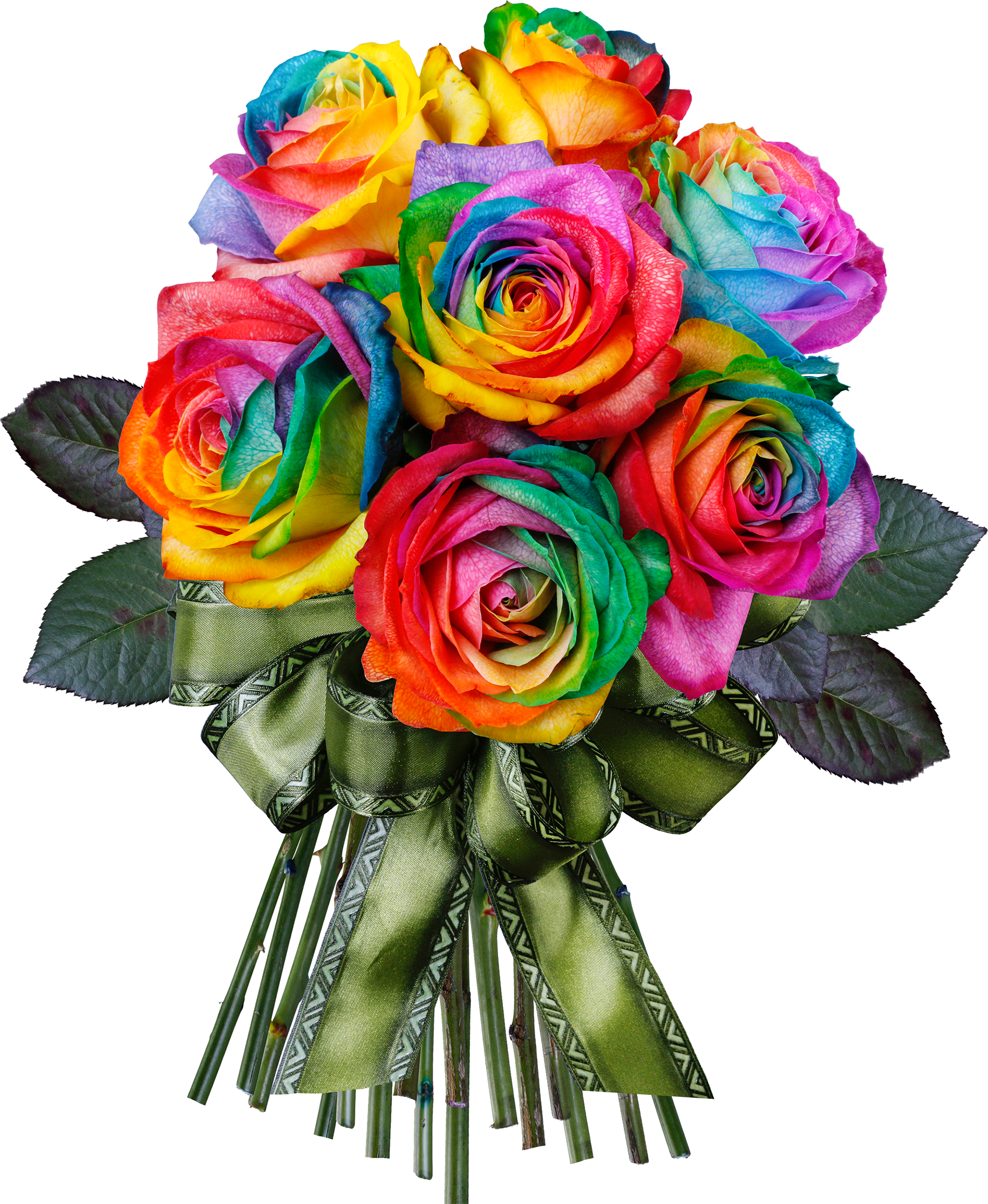 Rainbow Rose (1920x2339), Png Download