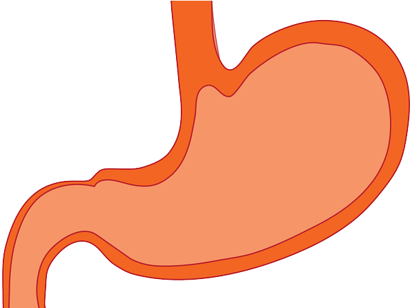 Clip Art (605x445), Png Download