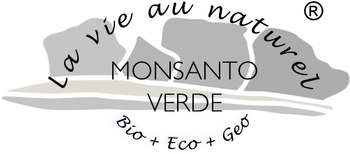 Download Monsanto Verde Logo Logo Png Image With No Background Pngkey Com