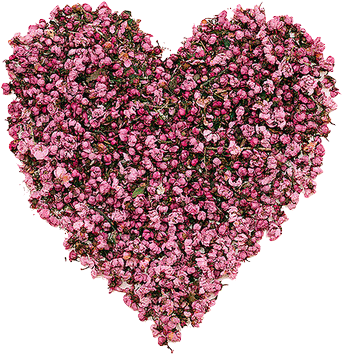 Imagenes De Kyungsoo Png (500x507), Png Download