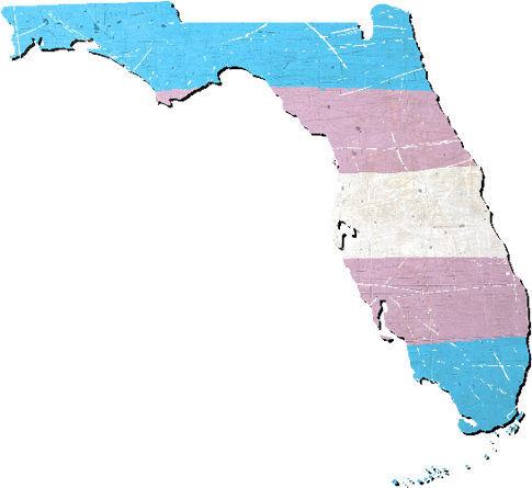 Florida Silhouette Transgender Pride Flag - Atlas (500x500), Png Download