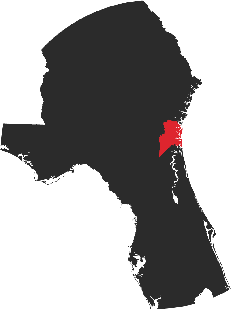 Florida And Georgia - Map Of Florida (1000x1000), Png Download